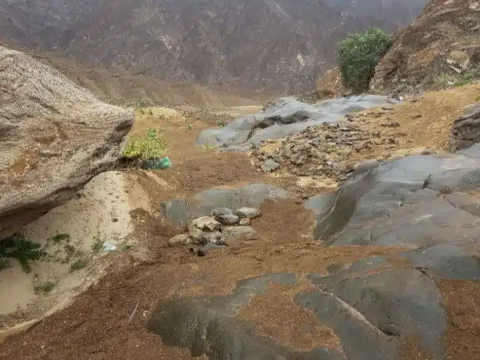 وادي سيجي: جوهرة خضراء في إمارة الفجيرة