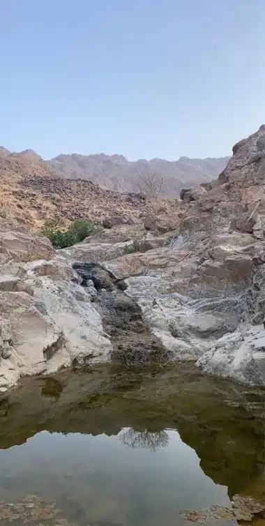 تعرف على 